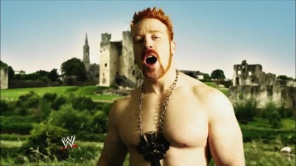 Wwe Elimination Chamber 19/02/2012