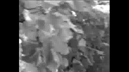New 2008 Darkthrone - Too Old Too Cold [video Clip By Baphomet]