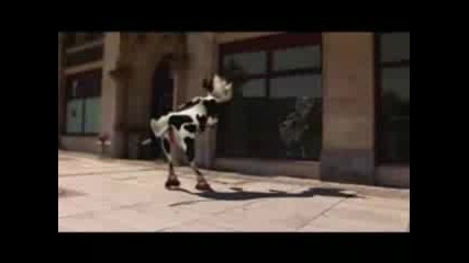Луда Крава
