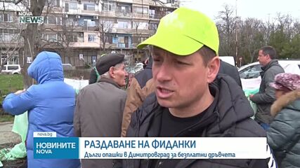 Раздадоха 16 хиляди фиданки на желащи в Димитровград