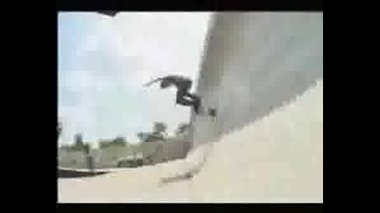 The Best Of Bam Margera