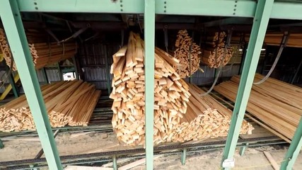 Автоматична дървообработка - Компилация невероятни машини