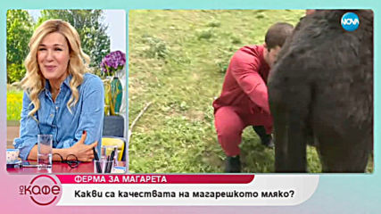 Ферма за магарета - На кафе (08.05.2019)