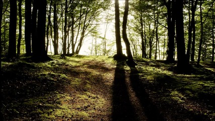• Tom Day - New Beginnings /piano/