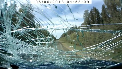 Дърво Пада от Нищото Върху Движеща се Кола