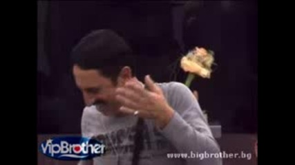 И да паднем,  и да бием - пак ще се напием! - Vip Brother 3