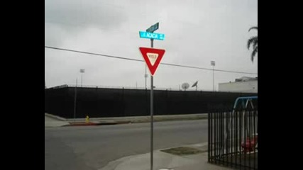 N Da City Of Compton Crip Amp Bloods