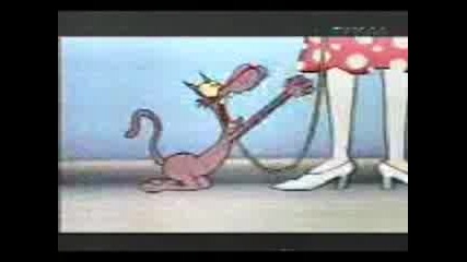 lava lava - sick as a dog 