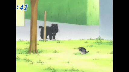 chi's sweet home 055 (bg)