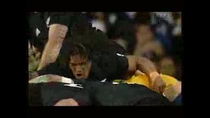 Tribute To The All Blacks