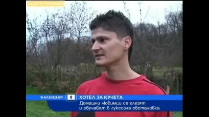 Отвориха хотел за кучета 