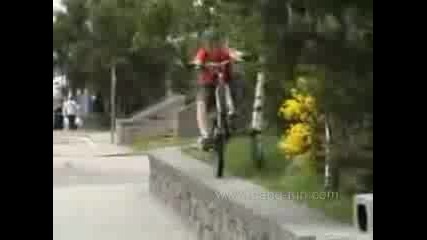 Bike - King