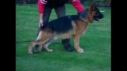 Zeus del Caltone