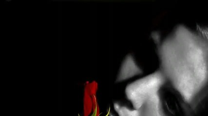 Within Temptation - Stand My Ground Hd 720