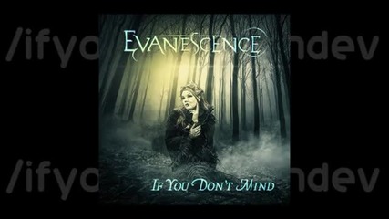 Evanescence - If You Don't Mind (превод)