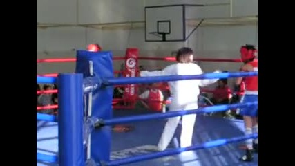 гратско по бокс 2009 