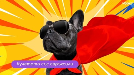 Кучетата имат суперсила, за която не подозирахме💥🦸‍♂️