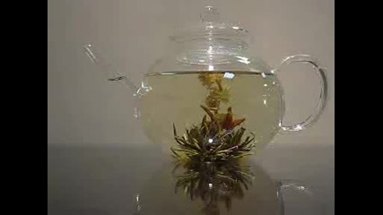 1000 Day Flower Blooming Tea