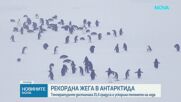 Учени алармират за рекордна жега на Антарктида