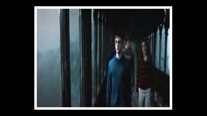 Order Of The Phoenix