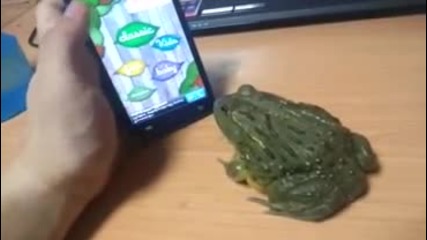 Как може да вбесите жаба