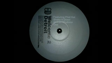 Phat Kat - Featuring Phat Kat (jay Dee Production) (2001) [h