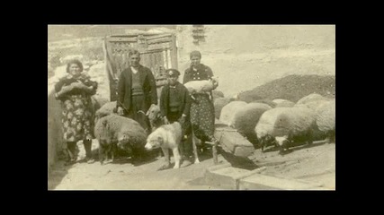 Българско Овчарско Куче Архивни - Снимки 