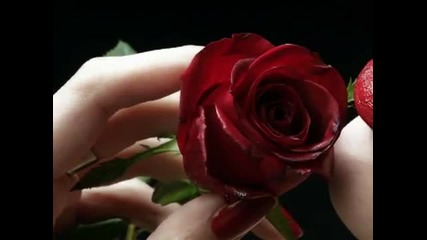 A Love So Beautiful ( Превод + Lyrics) 