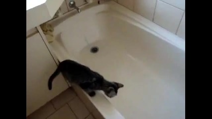 Котка пада в банята 