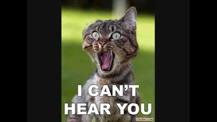 Funny Pictures 