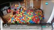 Колежанин от Хюстън напълни стаята си с 13 000 пластмасови топки