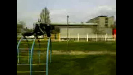 Bat ot Nptc pravi Stoika Munkey