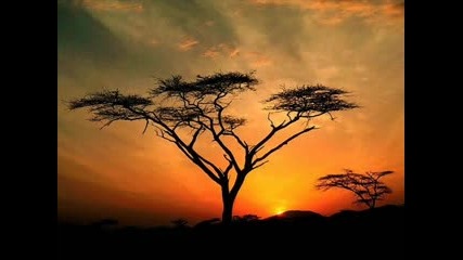 Miriam Makeba - African Sunset