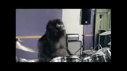 горила свири на барабани 