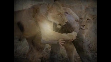 Kenny G - Can You Feel The Love Tonight