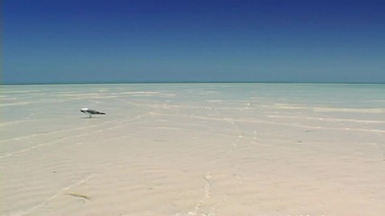 ~ Relax Beaches Ocean Waves ~ 