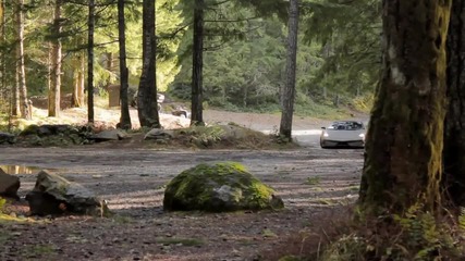 lamborghini също адски много обича горските пътища