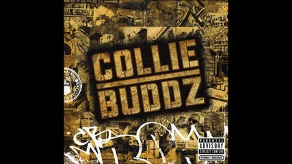 Collie Buddz - Blind to you