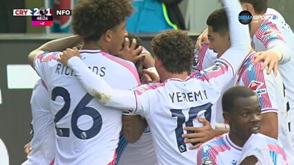 Goal by Crystal Palace