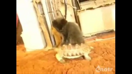 Много яко возило ... :) 