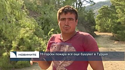 11 пожара продължават да бушуват в Турция