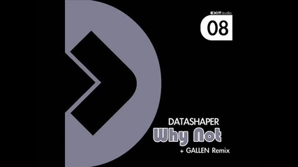 Datashaper - Why Not (gallen Remix)