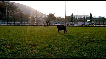 Roki i Hera si igraqt 2