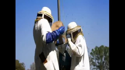 Jackass 3 - 5 Епизод 