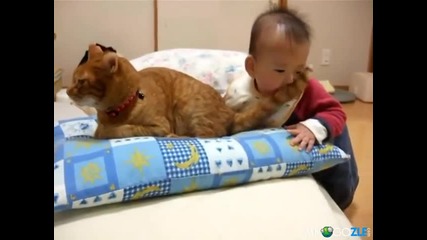 Бебе яде опашката на коте