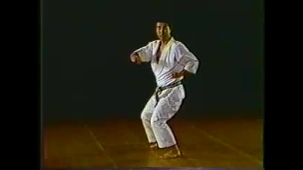 Kata Tekki Shodan 