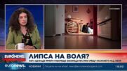 Надя Кожухарова, психолог: Домашното насилие се предава през поколенията