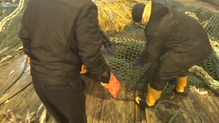 Рибари хванали нещо неочаквано