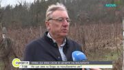 Малинопроизводители алармират за водна криза