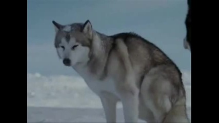 Gregorian - The Moment of Peace ( Eight Below ) 
